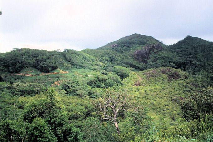 Seychellen 1999-059.jpg